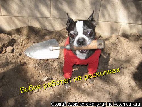 Бобик работал на раскопках Бобик работал на раскопках... Котоматрица: Бобик работал на раскопках Бобик работал на раскопках