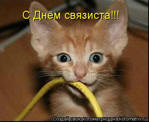 С Днём связиста!!!... Котоматрица: С Днём связиста!!!