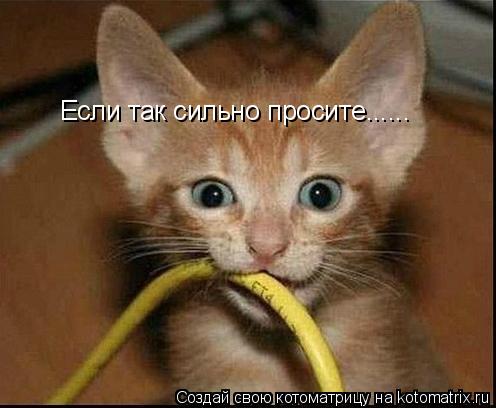 Котоматрица: Если так сильно просите......