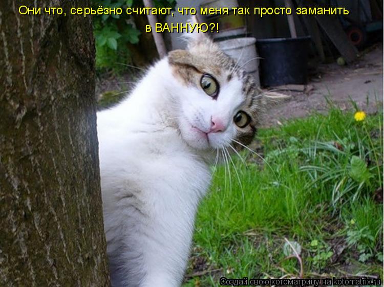 Котоматрица: Они что, серьёзно считают, что меня так просто заманить в ВАННУЮ?!