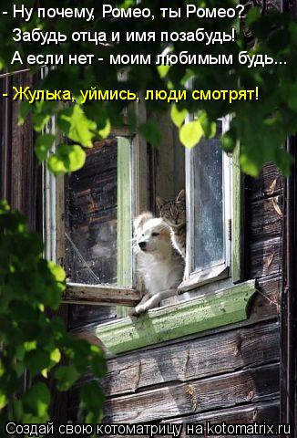 - Ну почему, Ромео, ты Ромео? Забудь отца и имя позабудь! А если нет - моим любимым будь... - Жулька,... Котоматрица: - Ну почему, Ромео, ты Ромео? Забудь отца и имя позабудь! А если нет - моим любимым будь... - Жулька, уймись, люди смотрят!