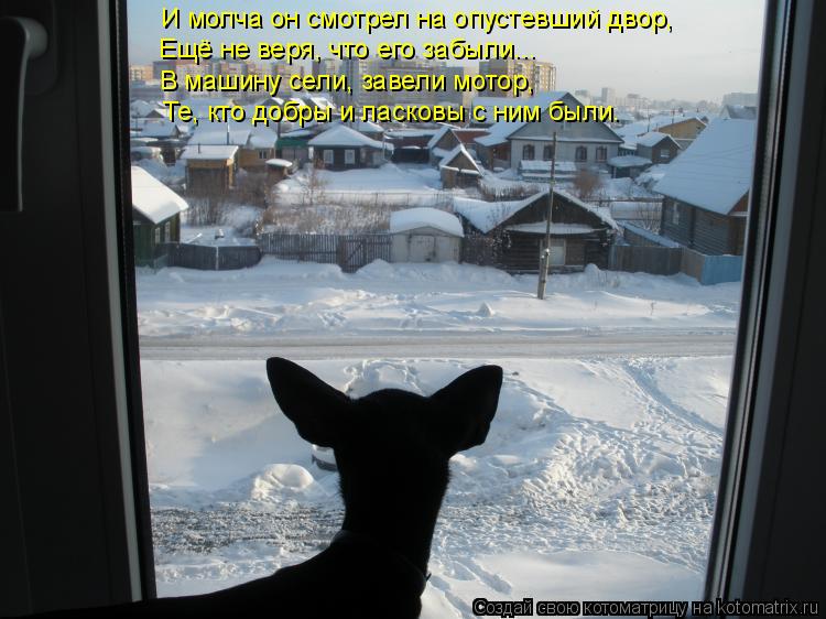 Котоматрица: И молча он смотрел на опустевший двор, Ещё не веря, что его забыли... Те, кто добры и ласковы с ним были. В машину сели, завели мотор,