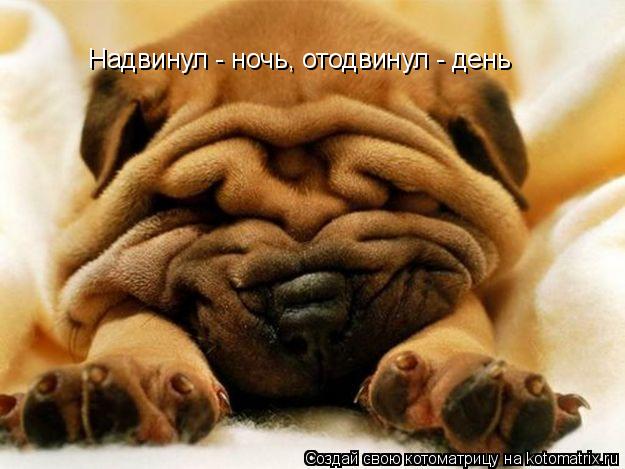 Котоматрица: Надвинул - ночь, отодвинул - день