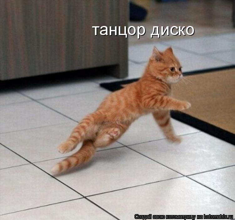 Котоматрица: танцор диско