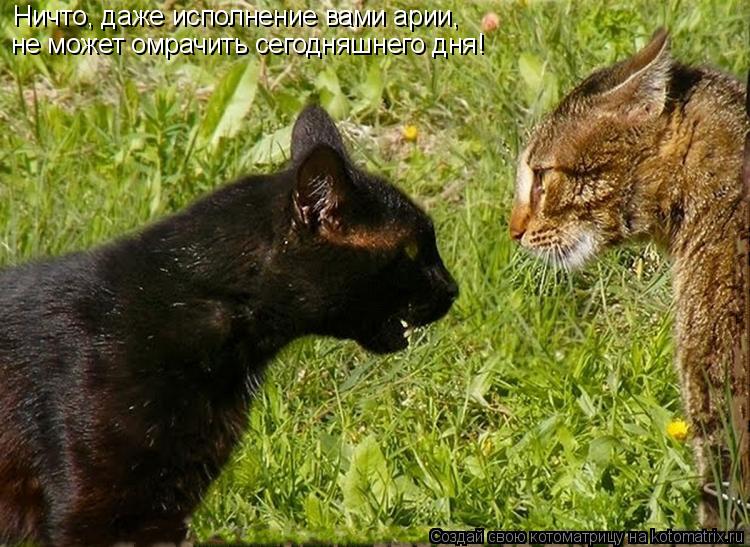 Котоматрица: Ничто, даже исполнение вами арии,  не может омрачить сегодняшнего дня!