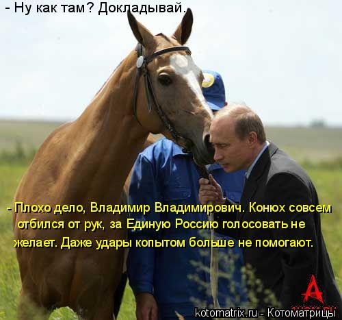 Котоматрица: - Ну как там? Докладывай. - Плохо дело, Владимир Владимирович. Конюх совсем  отбился от рук, за Единую Россию голосовать не  желает. Даже удары 