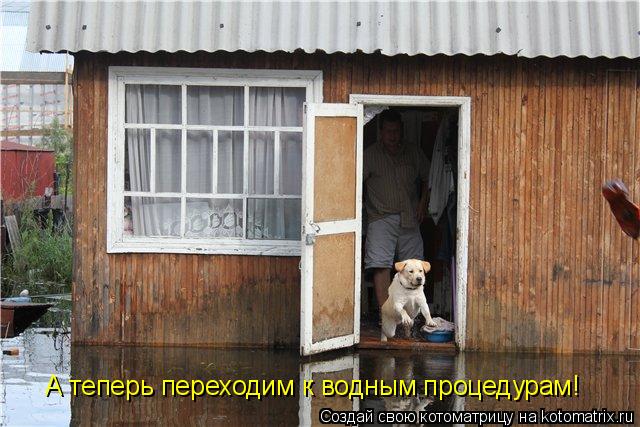 Котоматрица: А теперь переходим к водным процедурам!