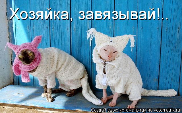 Котоматрица: Хозяйка, завязывай!..