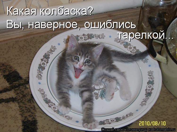 Котоматрица: Какая колбаска?  Вы, наверное, ошиблись  тарелкой...