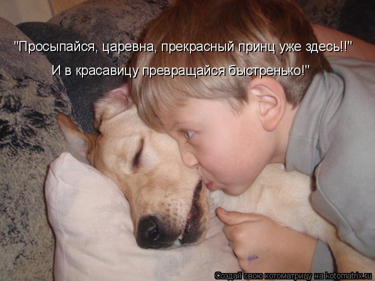 Котоматрица: "Просыпайся, царевна, прекрасный принц уже здесь!!" И в красавицу превращайся быстренько!"