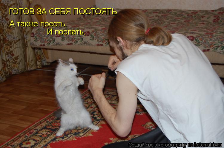 Котоматрица: ГОТОВ ЗА СЕБЯ ПОСТОЯТЬ А также поесть, И поспать.