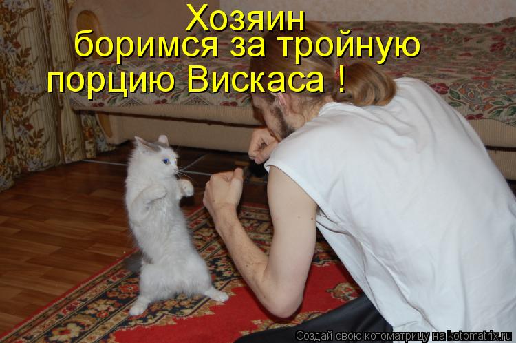 Котоматрица: Хозяин боримся за тройную порцию Вискаса !