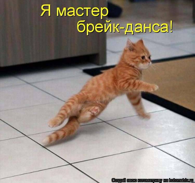 Котоматрица: Я мастер брейк-данса!