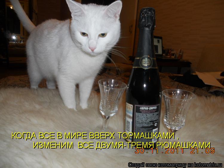 Котоматрица: ИЗМЕНИМ  ВСЕ ДВУМЯ-ТРЕМЯ РЮМАШКАМИ КОГДА ВСЕ В МИРЕ ВВЕРХ ТОРМАШКАМИ ,