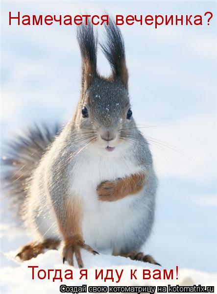 Котоматрица: Намечается вечеринка? Тогда я иду к вам!
