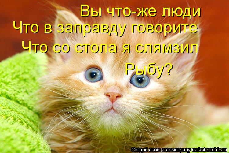 Котоматрица: Вы что-же люди Что в заправду говорите Что со стола я слямзил  Рыбу?