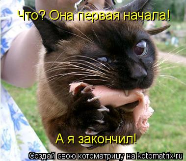 Котоматрица: Что? Она первая начала! Что? Она первая начала! А я закончил!