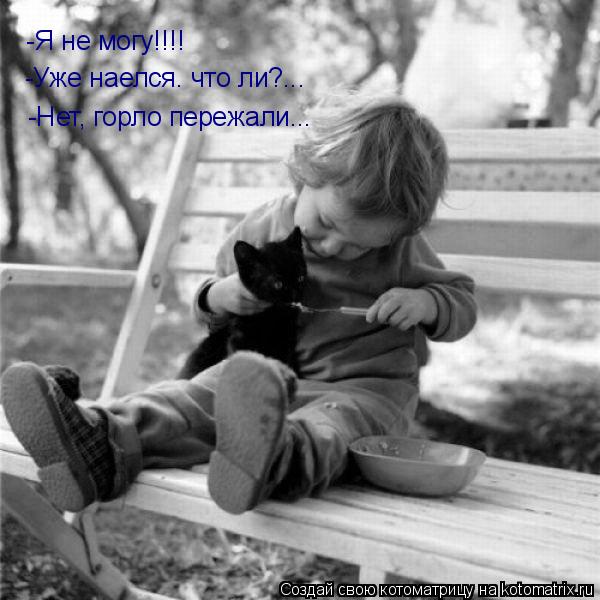 Котоматрица: -Я не могу!!!! -Уже наелся. что ли?... -Нет, горло пережали...