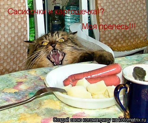 Котоматрица: Сасисочки и картошечка!? Моя прелесь!!!