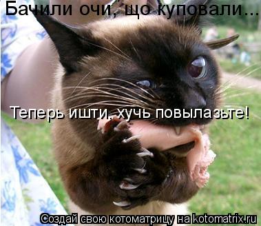 Котоматрица: Бачили очи, що куповали...  Теперь ишти, хучь повылазьте!