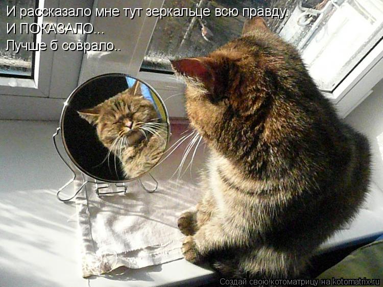 Котоматрица: И рассказало мне тут зеркальце всю правду. И ПОКАЗАЛО... Лучше б соврало..