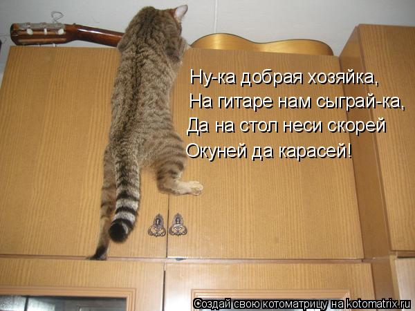 Котоматрица: На гитаре нам сыграй-ка, Ну-ка добрая хозяйка, Да на стол неси скорей Окуней да карасей!
