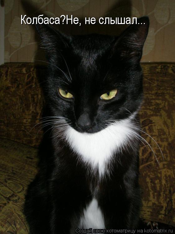 Котоматрица: Колбаса?Не, не слышал...