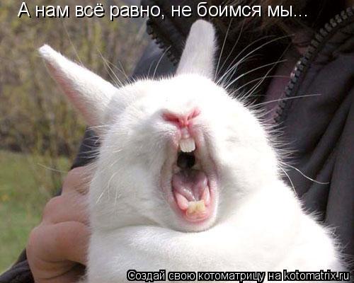А нам всё равно, не боимся мы...... Котоматрица: А нам всё равно, не боимся мы...