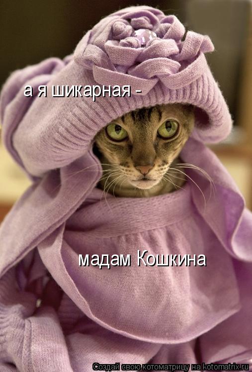 мадам Кошкина а я шикарная -... Котоматрица: мадам Кошкина а я шикарная -
