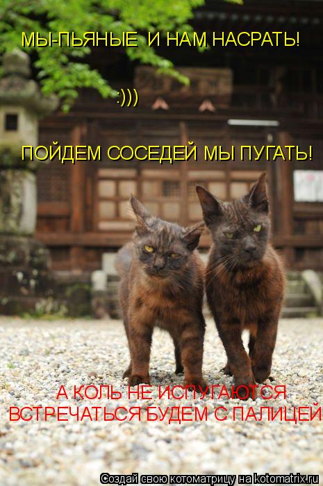 МЫ-ПЬЯНЫЕ И НАМ НАСРАТЬ! ПОЙДЕМ СОСЕДЕЙ МЫ ПУГАТЬ! :))) А КОЛЬ НЕ ИСПУГАЮТСЯ ВСТРЕЧАТЬСЯ БУДЕМ С ПАЛ... Котоматрица: МЫ-ПЬЯНЫЕ И НАМ НАСРАТЬ! ПОЙДЕМ СОСЕДЕЙ МЫ ПУГАТЬ! :))) А КОЛЬ НЕ ИСПУГАЮТСЯ ВСТРЕЧАТЬСЯ БУДЕМ С ПАЛИЦЕЙ!