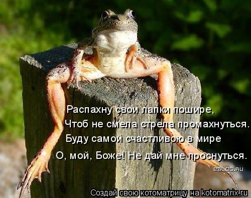 Котоматрица: Распахну свои лапки пошире,  Чтоб не смела стрела промахнуться.  Буду самой счастливою в мире О, мой, Боже! Не дай мне проснуться.