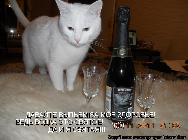 ДАВАЙТЕ ВЫПЬЕМ!ЗА МОЕ ЗДОРОВЬЕ! ВЕДЬ ВОДКА ЭТО СВЯТОЕ! ДА И Я СВЯТАЯ!!! :)))))... Котоматрица: ДАВАЙТЕ ВЫПЬЕМ!ЗА МОЕ ЗДОРОВЬЕ! ВЕДЬ ВОДКА ЭТО СВЯТОЕ! ДА И Я СВЯТАЯ!!! :)))))