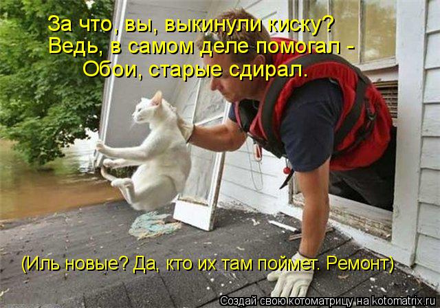 Котоматрица: За что, вы, выкинули киску? Ведь, в самом деле помогал - Обои, старые сдирал. (Иль новые? Да, кто их там поймет. Ремонт)