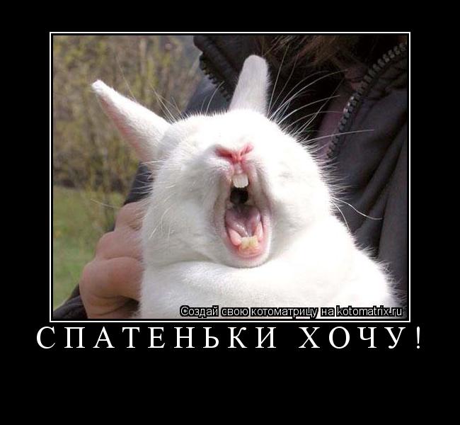 Котоматрица:  