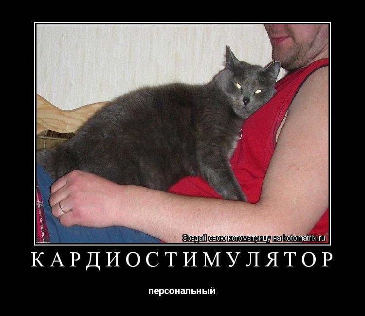 Котоматрица: Кардиостимулятор персональный