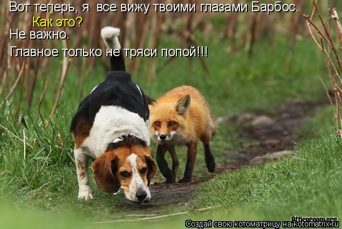 Котоматрица: Вот теперь, я  все вижу твоими глазами Барбос. Как это? Не важно. Главное только не тряси попой!!!