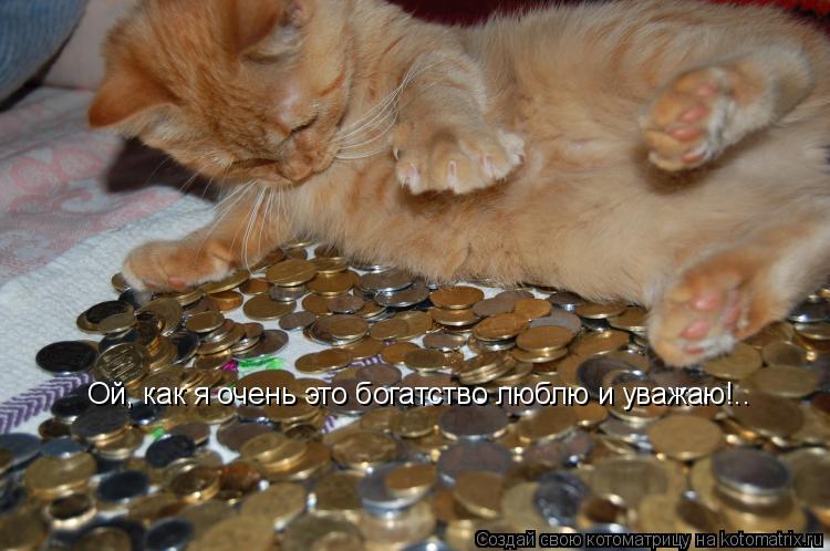 Котоматрица: Ой, как я очень это богатство люблю и уважаю!..