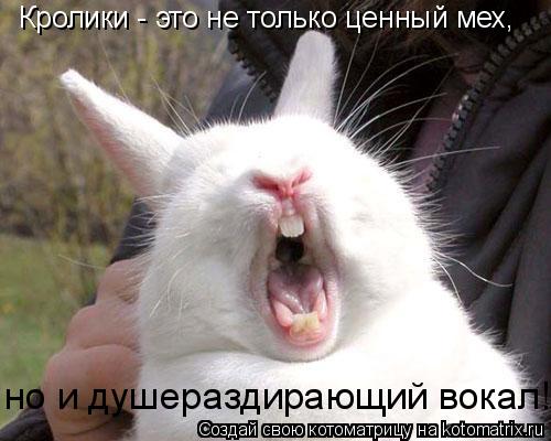 Котоматрица: Кролики - это не только ценный мех, но и душераздирающий вокал!