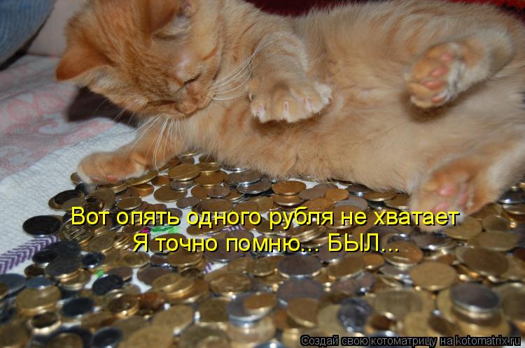 Я точно помню... БЫЛ... Вот опять одного рубля не хватает... Котоматрица: Я точно помню... БЫЛ... Вот опять одного рубля не хватает