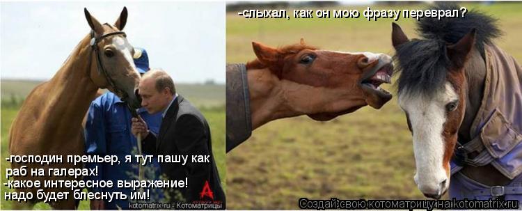 Котоматрица: -господин премьер, я тут пашу как  раб на галерах! -какое интересное выражение!  надо будет блеснуть им! -слыхал, как он мою фразу переврал?