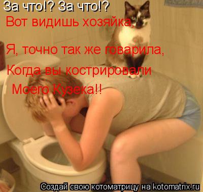 Котоматрица: За что!? За что!? Вот видишь хозяйка, Я, точно так же говарила, Когда вы кострировали Моего Кузека!!