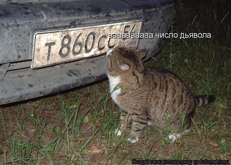 Котоматрица: аааааааааа число дьявола