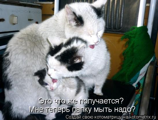 Котоматрица: Это что же получается? Мне теперь папку мыть надо?