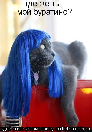 Котоматрица: где же ты, мой буратино?