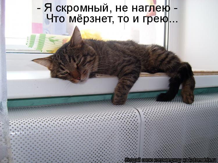 - Я скромный, не наглею - Что мёрзнет, то и грею...... Котоматрица: - Я скромный, не наглею - Что мёрзнет, то и грею...