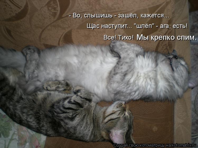 Котоматрица: - Во, слышишь - зашёл, кажется... Щас наступит... "шлёп" - ага, есть! Все! Тихо!  Мы крепко спим.