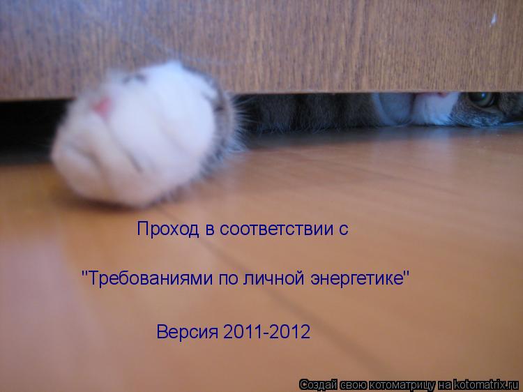 Котоматрица: Проход в соответствии с "Требованиями по личной энергетике" Версия 2011-2012
