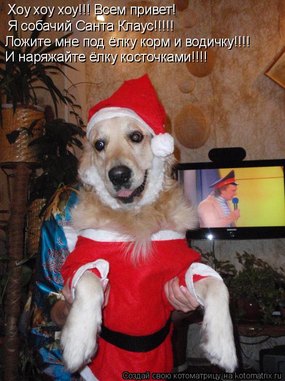Котоматрица: Хоу хоу хоу!!! Всем привет! Я собачий Санта Клаус!!!!! Ложите мне под ёлку корм и водичку!!!! И наряжайте ёлку косточками!!!!