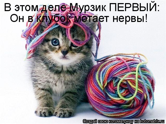 В этом деле Мурзик ПЕРВЫЙ: Он в клубок мотает нервы!... Котоматрица: В этом деле Мурзик ПЕРВЫЙ: Он в клубок мотает нервы!