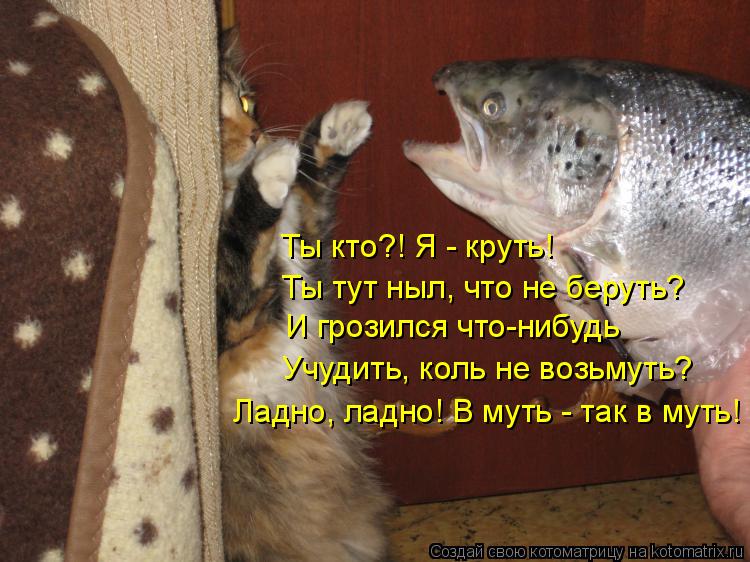 Котоматрица: Ты кто?! Я - круть! Ты тут ныл, что не беруть? И грозился что-нибудь Учудить, коль не возьмуть? Ладно, ладно! В муть - так в муть!